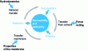 Figure 4 - Implication of transfer phenomena on membrane process performance