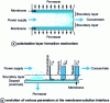 Figure 3 - Polarization in cross-flow filtration