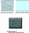 Figure 2 - Schematic representation of symmetrical membranes 