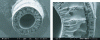 Figure 4 - Example of an asymmetric double-skin membrane – PVDF microfiltration membrane with hollow fiber geometry 