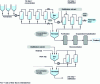 Figure 1 - Simplified diagram of a continuous – or continuous – batch line for the production of metabolites from a fermentation wort.