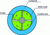 Figure 24 - Cross-section of a crystallizer with scraped surface and crystal suspension