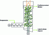 Figure 29 - Operation of a mechanical forced-transport washing/drying column – Kureha process [1]