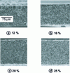 Figure 15 - Influence of polymer mass concentration on the structuring of PEI/NMP membranes [60].