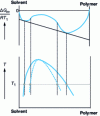 Figure 2 - Phase composition diagram – temperature for a binary polymer-solvent system [3]