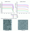 Figure 21 - Comparison of polymer volume fraction profiles and final membrane morphologies