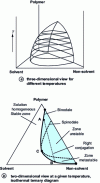 Figure 3 - Representation of the binodal surface in a ternary polymer/solvent/non-solvent system [3].