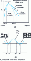 Figure 4 - Demixing in a polymer-solvent binary system by decreasing the temperature [3].