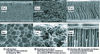 Figure 5 - SEM microphotographs of cross-sections of membranes produced by phase separation [20].