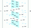 Figure 1 - Schematic representation of cation exchange membrane operation