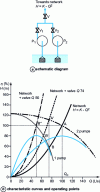 Figure 11 - Operating diagram for two pumps connected in parallel on a network with only head losses