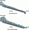 Figure 2 - Influence of stratification on classification [5][6]