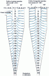 Figure 15 - Speed profiles measured by laser Doppler counters [13]