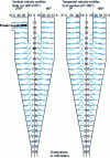 Figure 4 - Velocity profiles measured by laser Doppler counters [13].