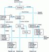 Figure 7 - Coal processing at Hazard (Kentucky, USA), after [23]