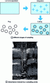 Figure 6 - Different stages of sampling in a mixture and disturbance induced when a probe passes through a granular medium, after Muzzio et al. [13]