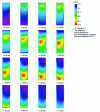 Figure 1 - Infrared camera visualization of the longitudinal evolution of the heat front in a fixed bed of activated carbon fed with acetone-laden dry air