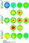 Figure 2 - Infrared camera observation of radial temperature changes in a fixed bed of activated carbon fed with acetone-laden dry air