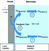 Figure 5 - Consecutive transport and reaction stages in electro-oxidation