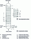 Figure 19 - Pulsed column for contacting two liquid phases