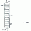 Figure 12 - Tray column gas-liquid reactor