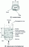 Figure 2 - Characteristics of a bubbling fluidized bed