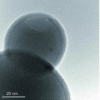Figure 14 - Silica nanoparticles coated with an ultra-thin layer of alumina [94]