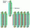 Figure 19 - Bipolar "module" or "element" technology (from [22] and [23])