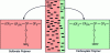 Figure 24 - Schematic diagram of a bilayer membrane for chlorine-caustic soda electrolysis