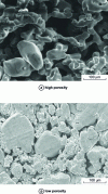 Figure 15 - SEM images showing the microstructure of two porous titanium dispensers
