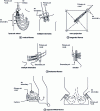 Figure 9 - Burner technologies