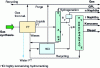 Figure 8 - FT kerosene upgrading diagram (LTFT process)