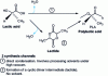 Figure 11 - Polylactic acid synthesis (Doc. Cargill)