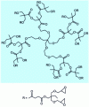 Figure 12 - Diagram of a hyperbranched polyester molecule (Doc. Perstorp)