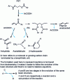 Figure 3 - Basic mechanisms of PET thermal degradation