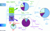 Figure 2 - Main outlets for BTX aromatic products