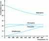 Figure 12 - Equilibrium composition of the C8-aromatic cut as a function of temperature (P = 0.1 MPa abs).