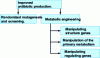 Figure 4 - The two main approaches to improving antibiotic production according to 