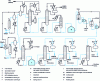 Figure 2 - Schematic diagram of a plant producing higher chloromethanes using the ATOFINA process