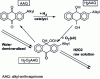 Figure 2 - H2O2 production by the anthraquinone process: process chemistry