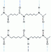 Figure 5 - Hydrogen bonds (blue dashed lines) in polyamide 6-6