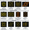 Figure 1 - Porous structure [2] and applications of the main zeolites used industrially (adapted from Fig. 1.1 of [2])