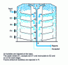 Figure 12 - Schematic diagram of a flotation cell (Lamort MAC cell)