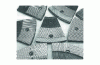 Figure 5 - Models of refiner disc segments used in mechanical pulp production.