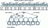 Figure 10 - Multi-cylinder dryer in single tier configuration (according to Metso)