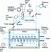 Figure 18 - Diagram of a double-sided air-foil dryer for drying coated paper (after Bachofen).