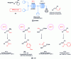 Figure 11 - Zincation and reactions of styrene derivatives and other alkenes in continuous flow