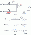 Figure 9 - Metallations of acrylic derivatives followed by continuous flow reactions