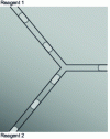 Figure 9 - Coalescence of two drops and mixing of reagents in a microfluidic device for reactive crystallization [38].