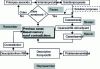 Figure 4 - Problem-solving processes in the TRIZ-RàPC approach